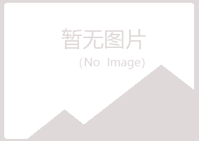 日照岚山敷衍工程有限公司